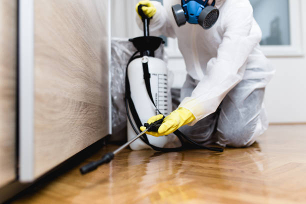 Insect Control in Middletown, VA