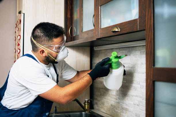 Best Exterminator Services  in Middletown, VA