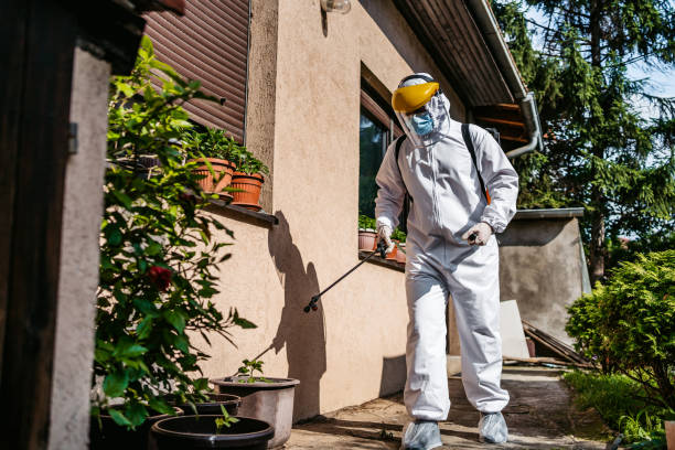 Best Best Pest Control Companies  in Middletown, VA