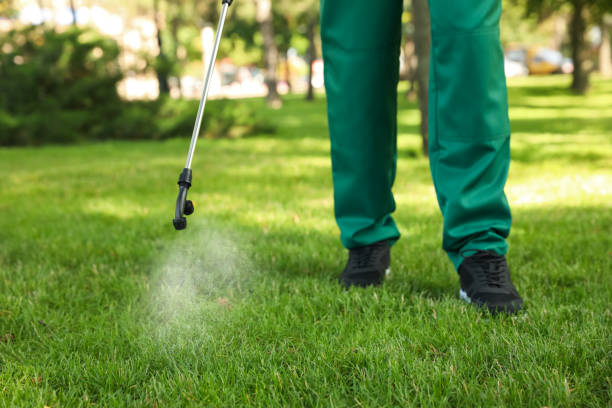 Pest Control for Restaurants in Middletown, VA
