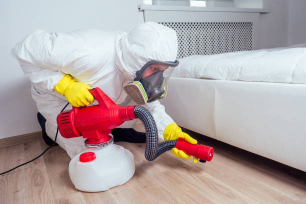 Best Affordable Pest Control Services  in Middletown, VA