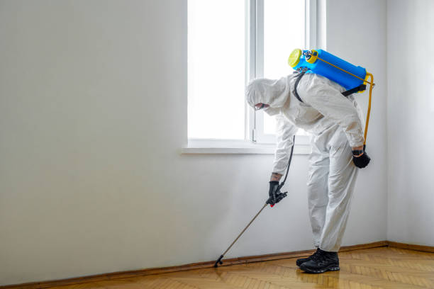 Best Pest Control for Homes  in Middletown, VA