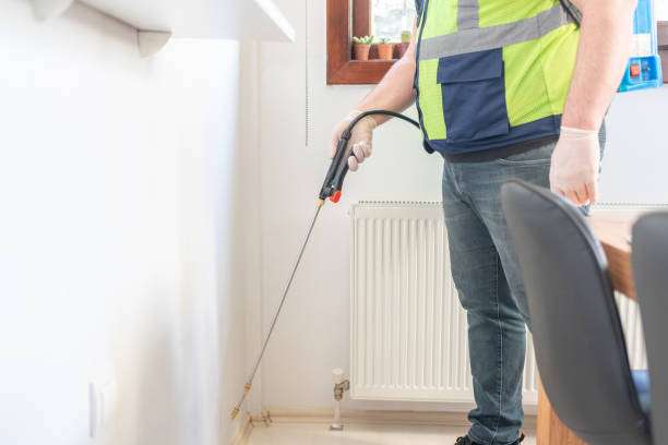 Best Termite Control Services  in Middletown, VA