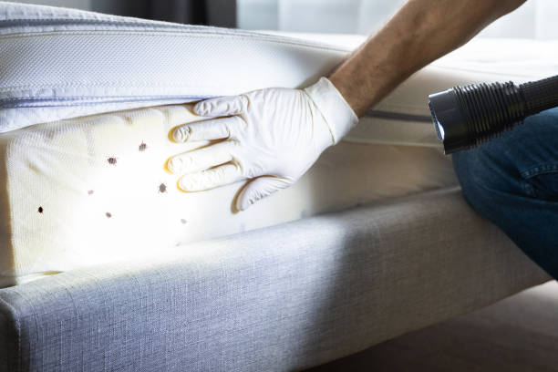 Best Pest Control Near Me  in Middletown, VA
