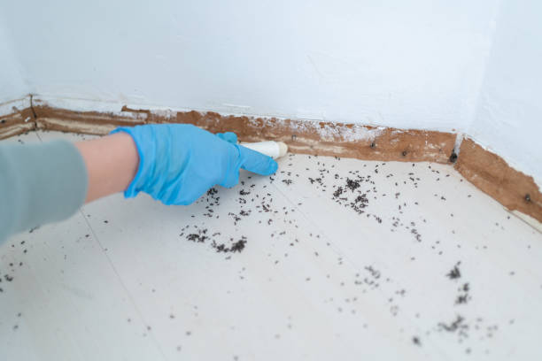 Best Mosquito Control Services  in Middletown, VA